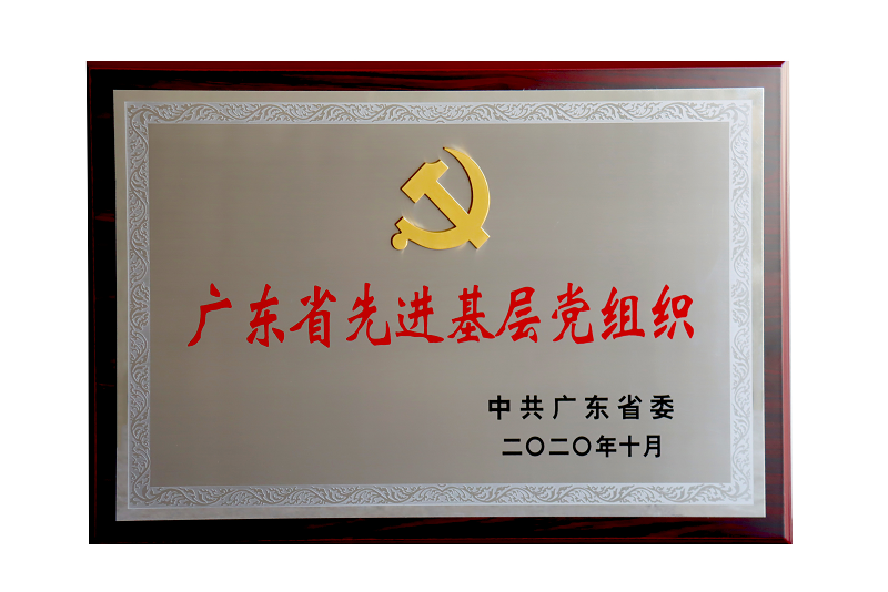 NG28-不凡成就非凡,相信品牌的力量