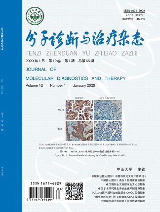 NG28-不凡成就非凡,相信品牌的力量