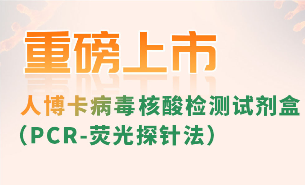 NG28-不凡成就非凡,相信品牌的力量