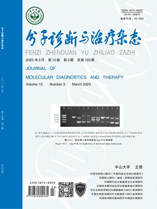 NG28-不凡成就非凡,相信品牌的力量