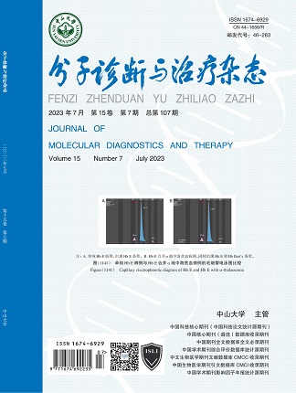 NG28-不凡成就非凡,相信品牌的力量