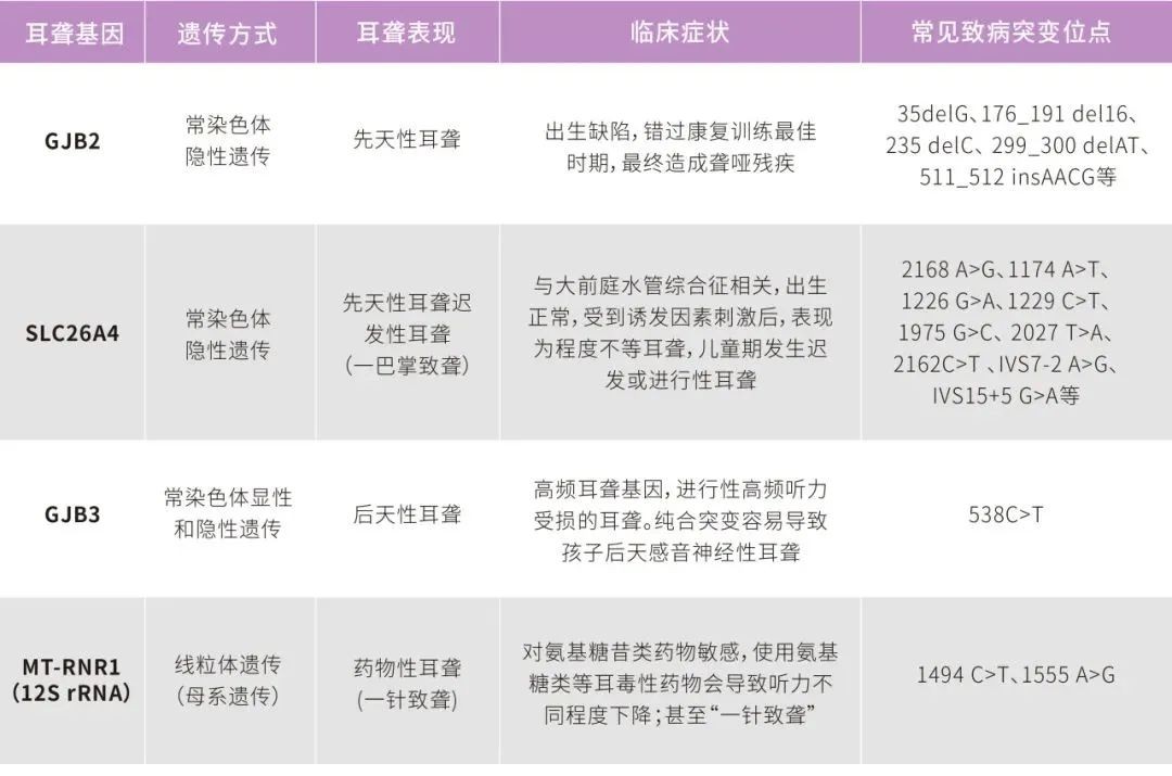NG28-不凡成就非凡,相信品牌的力量