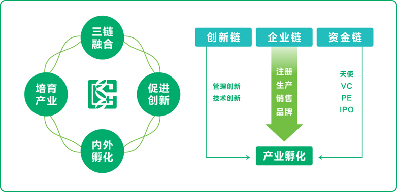 NG28相信品牌的力量基因赋能生物医药全链发展