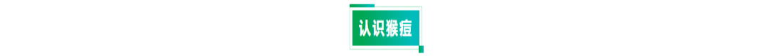 NG28-不凡成就非凡,相信品牌的力量