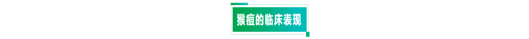NG28-不凡成就非凡,相信品牌的力量