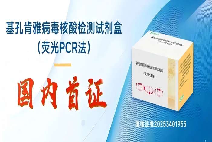 NG28-不凡成就非凡,相信品牌的力量