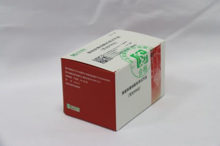 NG28-不凡成就非凡,相信品牌的力量
